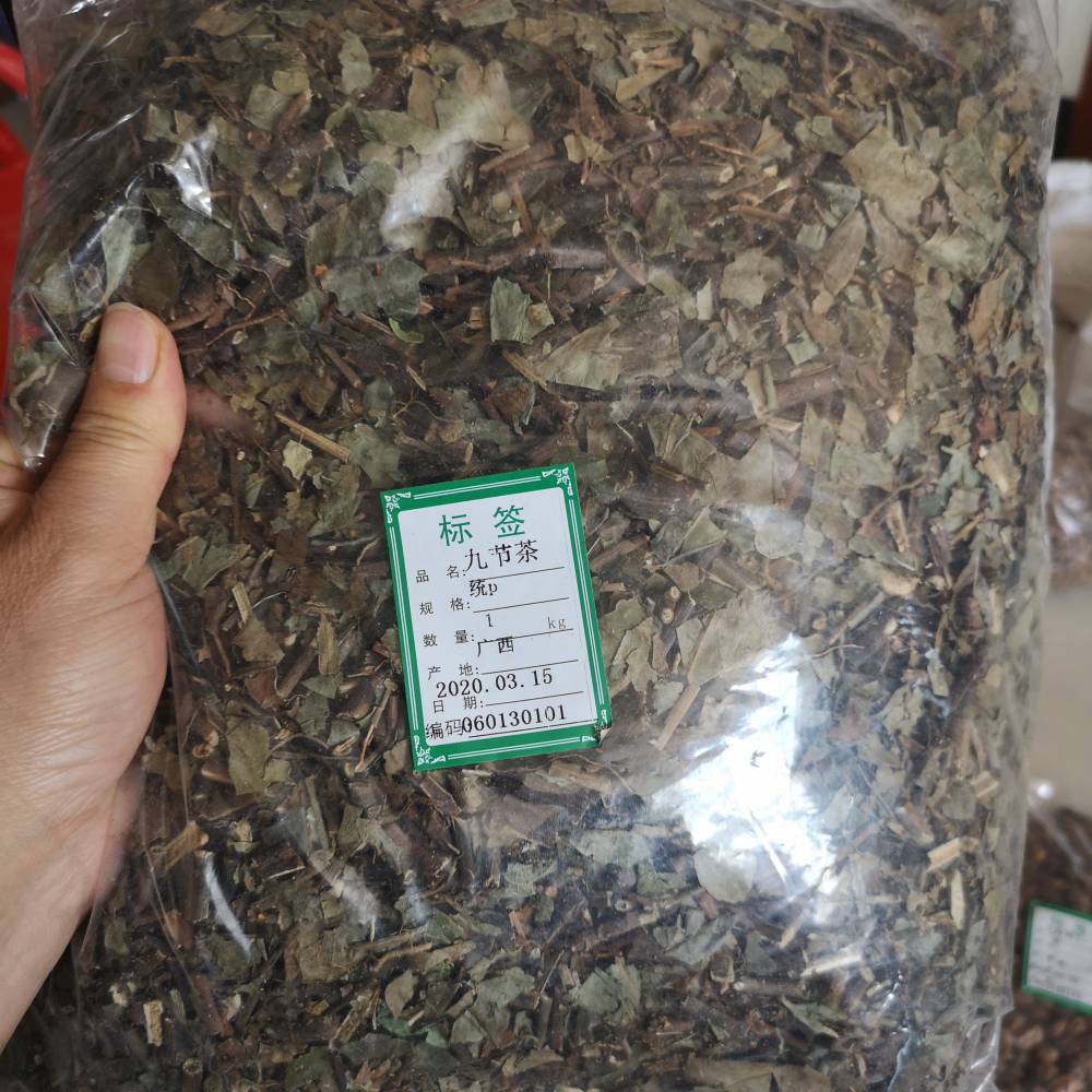 九节茶的药用价值九节茶批发九节茶产地直发
