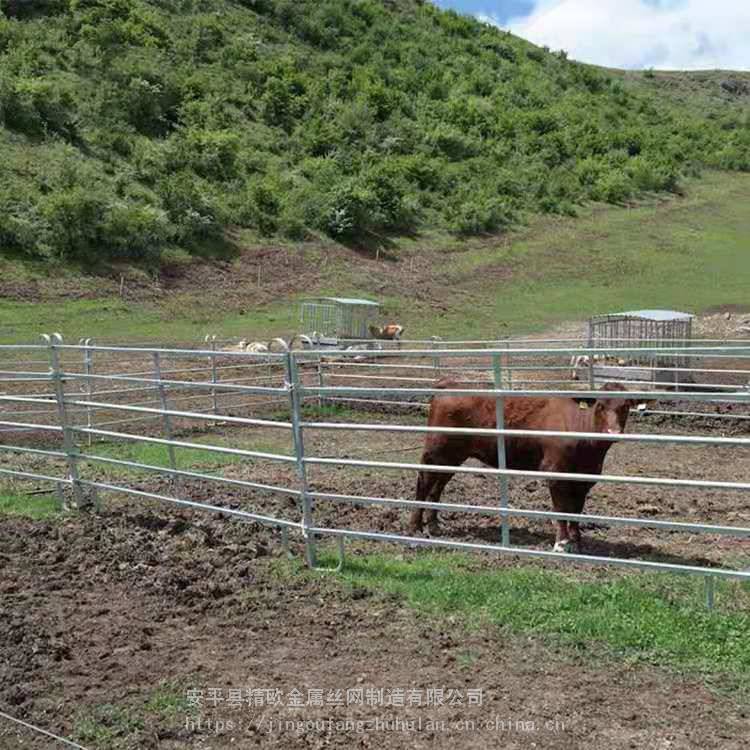 国内外马场围栏定做马场护栏养殖业栅栏羊圈围栏羊马圈围栏*定制