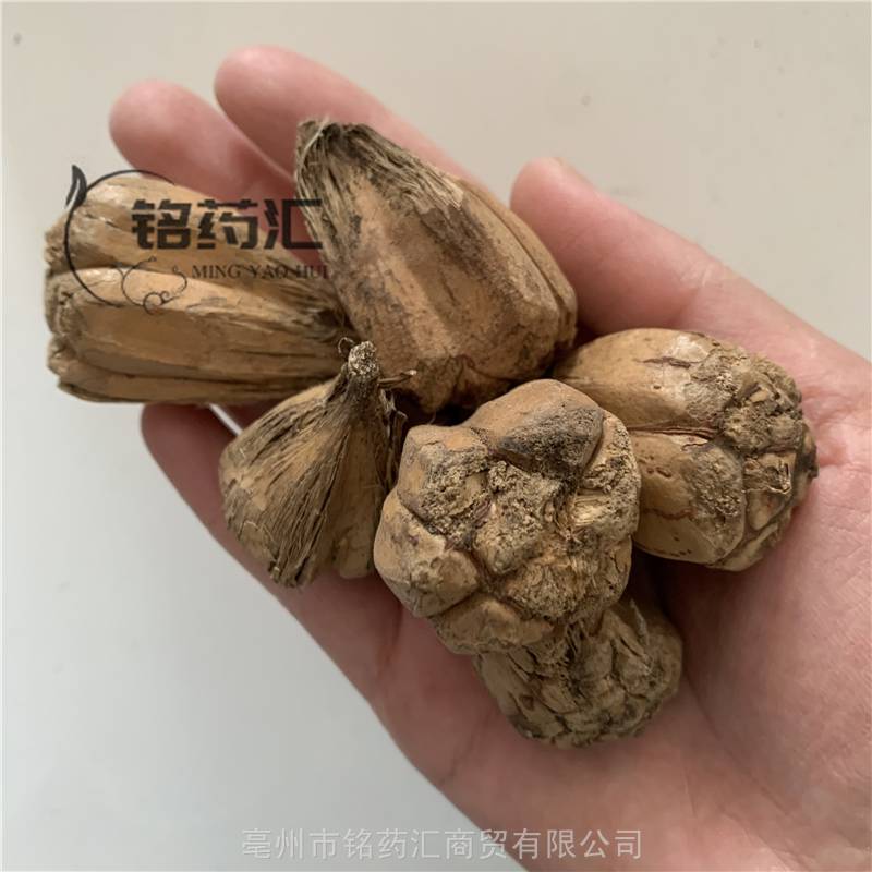 假菠萝野生产地大货药食同源散装无杂质上千种中药材