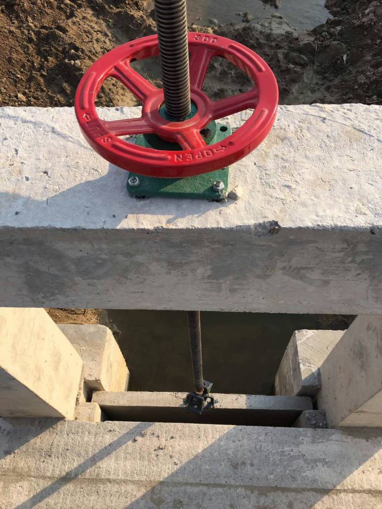 源禹水利螺杆提升机丝杆升降机重物提升器