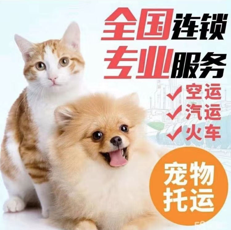 宠物托运北京公司的地址在哪 宠物托运公司电话