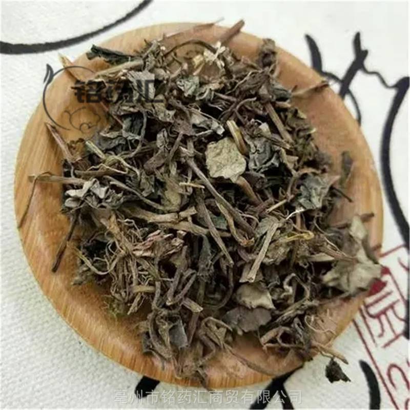 野生过路黄风寒草小风寒红头绳聚花过路黄