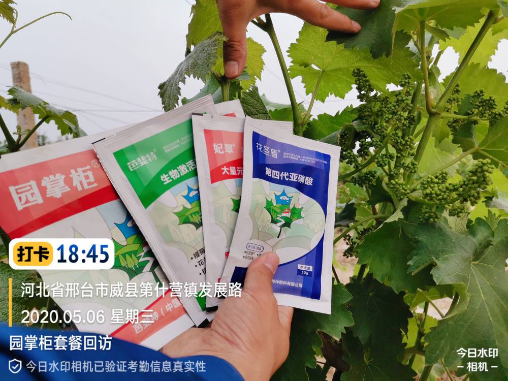 小麦抗病增产叶面肥芸乐收配方