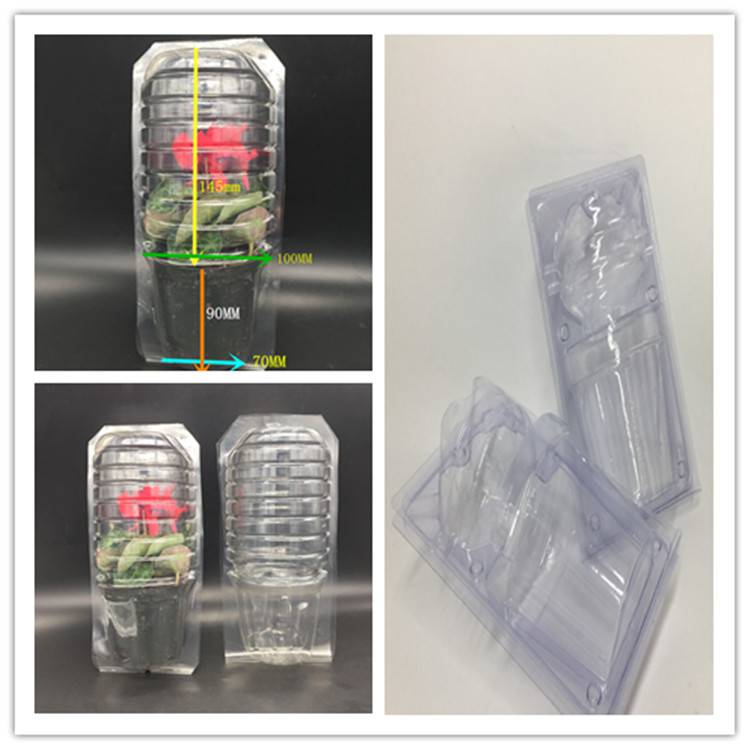 鲜活植物包装盒 广东省惠州市吸塑包装定制