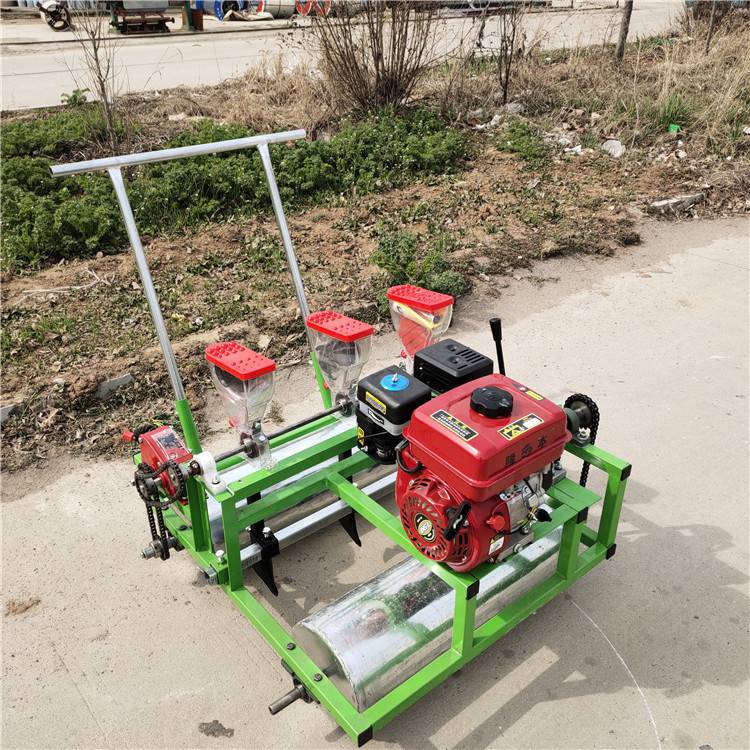 手推式白菜播种机蔬菜精播机价格