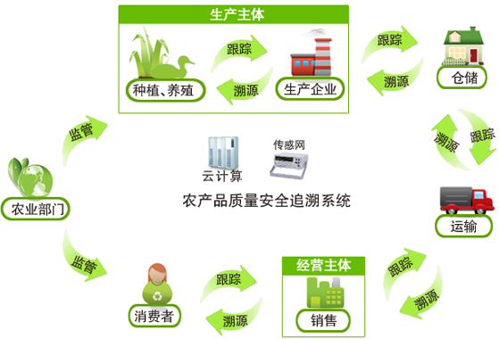 赴“云上之约”