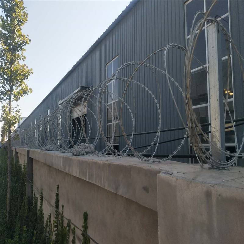 双螺旋刀片刺绳管道防爬刺围墙镀锌刀片滚笼