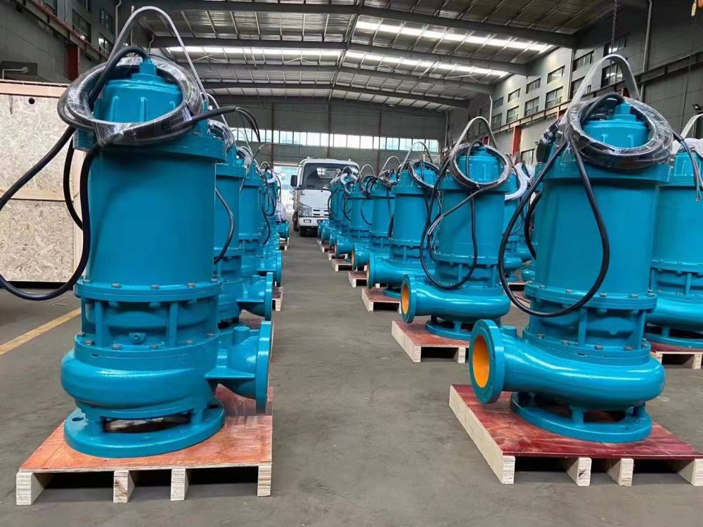 耦合式安装潜污泵天津潜污泵厂家