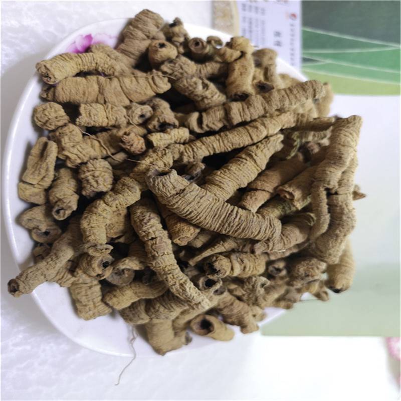 鸡肠风是什么鸡肠风哪里购买鸡肠风价格多少一公斤