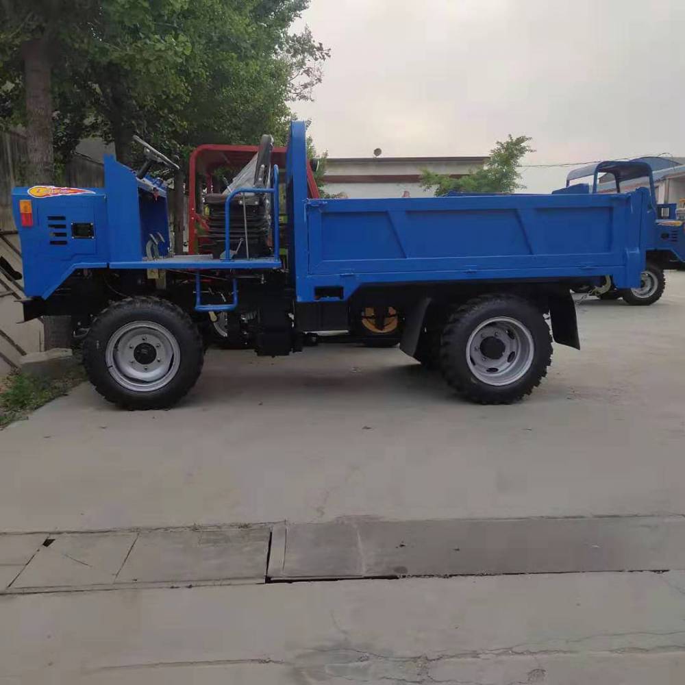 双缸四不像农用拖拉机爬坡载重用的四轮车节省油耗的柴油四不像