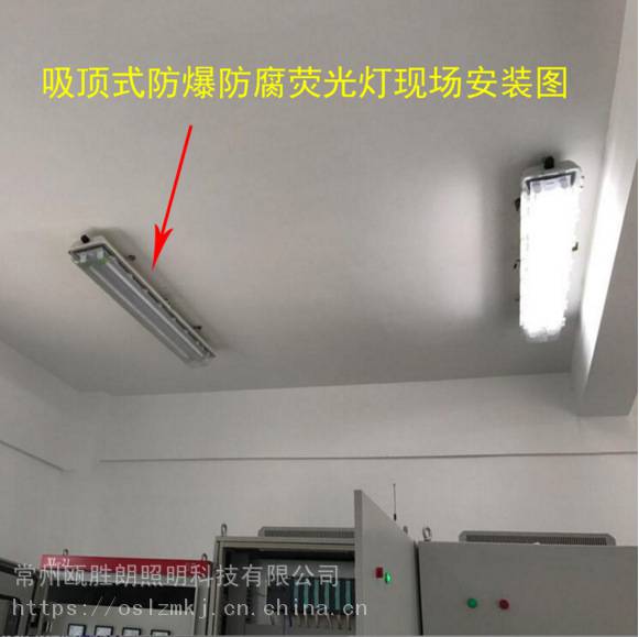 led防爆防腐熒光燈bay81自帶蓄電池18瓦28w單雙管配電機房應急燈