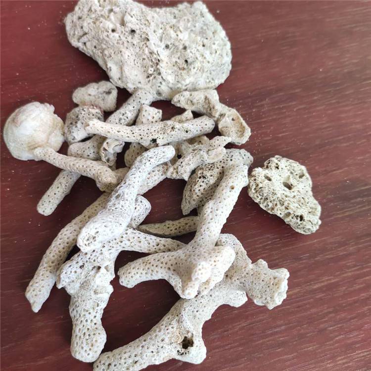 灵寿玄光珊瑚骨价格多孔培养硝化细菌除氯珊瑚骨