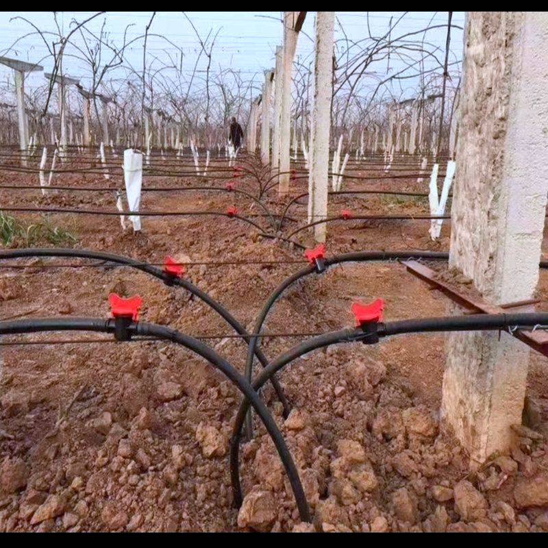 山西运城县果树滴灌苹果树滴灌管葡萄滴灌桃树滴灌价格
