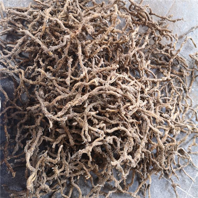 蜈蚣藤根批发飞天蜈蚣根产地直发
