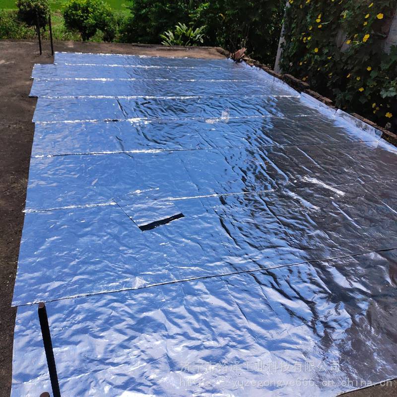 屋顶补漏材料sbs防水卷材楼顶涂料自粘屋面沥青隔热免火烤油毛毡