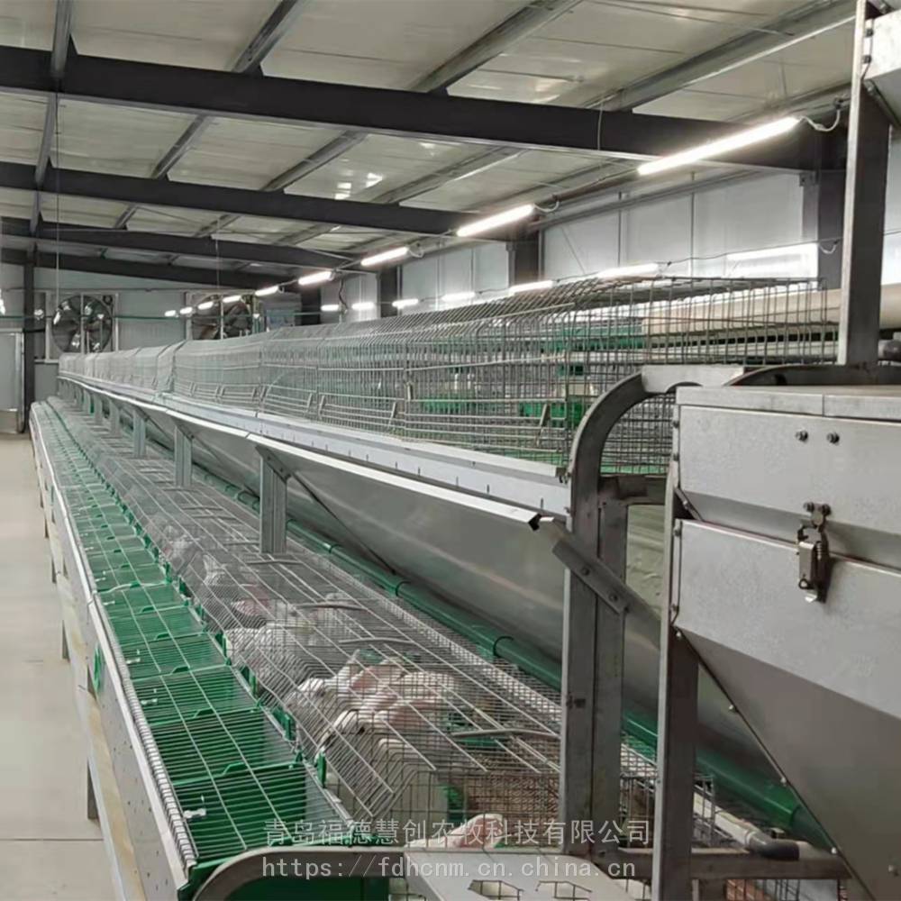 养兔笼批发欧式兔笼自动喂料双层繁育笼具