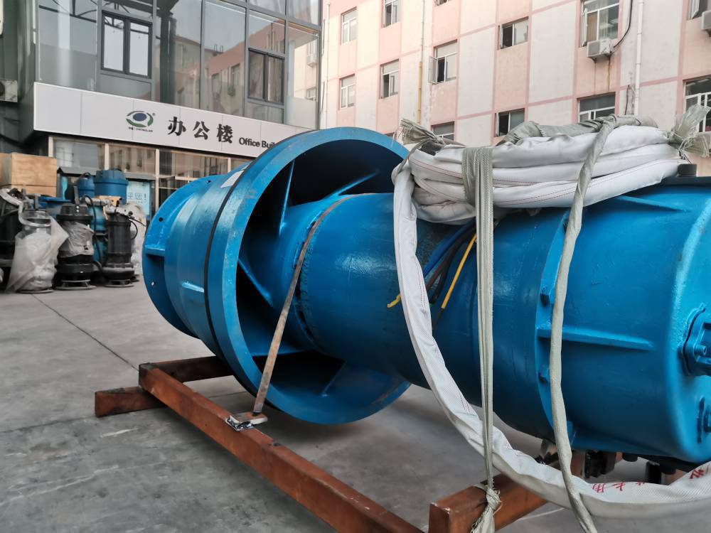 天津轴流泵厂家大流量轴流泵可定制不锈钢材质潜水轴流泵