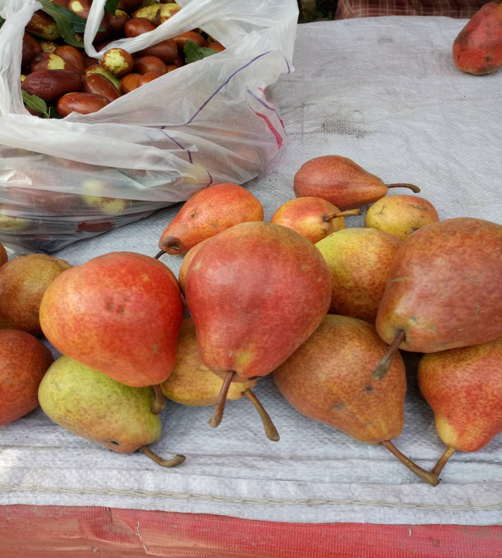 红肖梨8月份成熟的果树苗梨树苗资讯西瓜凤梨树小苗多少钱一株