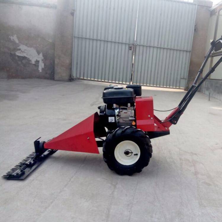 宿松县应急局展开冬天应急配备拉动演练七城镇同台“亮”技