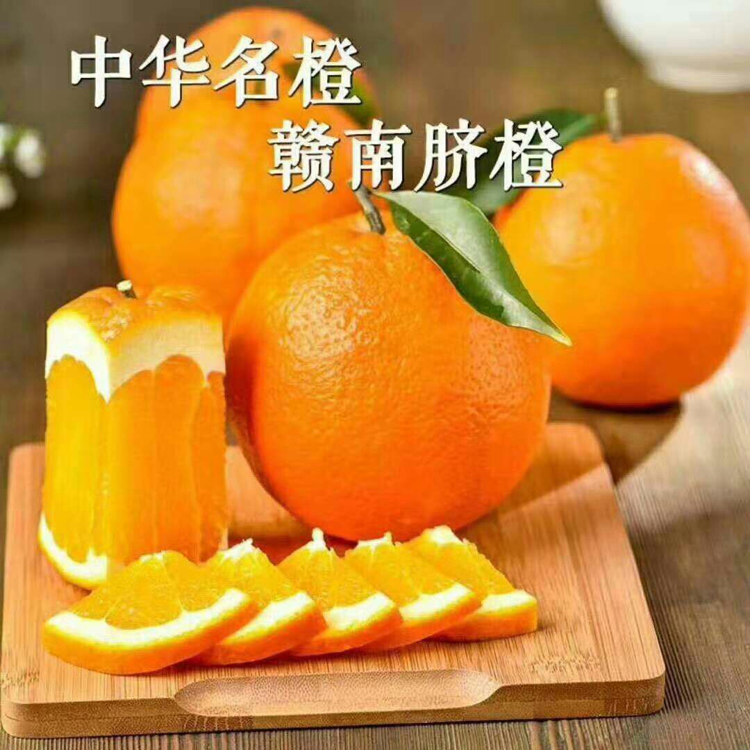˳Դ̬ũҵ޹˾