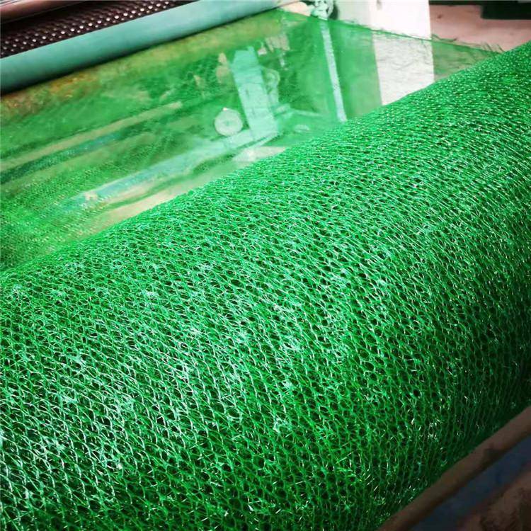 福建em2加筋三维土工网垫幅宽厚度可定制