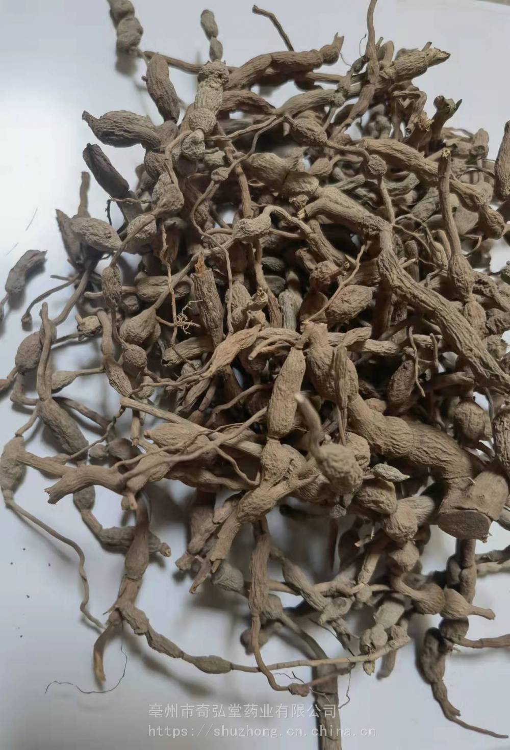 绣花针根与绣花针的药效区别