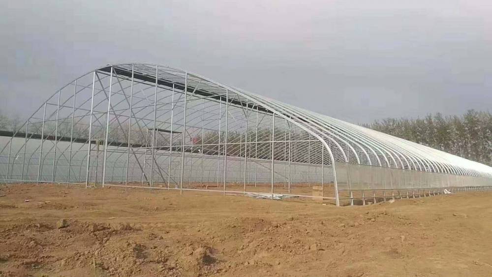 社会力量赋能下的合作社与乡村产业发展——临夏州和政U8国际- U8国际官方网站- U8体育APP下载县中邦美玉农机专业合作社的探索和实践