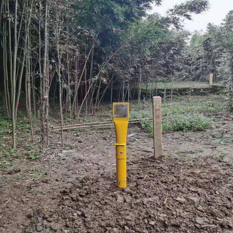 管道阴极保护常用牺牲阳极测试桩10843000阴保桩虹泰防腐