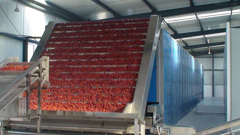 大型果蔬连续性烘干机械不锈钢网链烘干机中药材食用菌干燥机图片