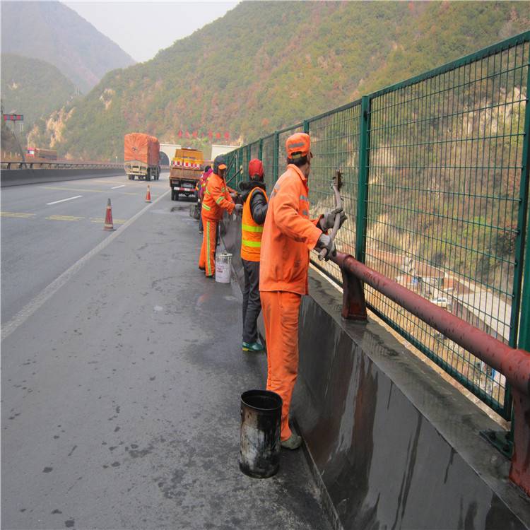 防护栏桃型柱护栏网 价格优惠 公路护栏网厂家 万泰