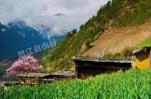 腾冲到怒江大峡谷包车深度游 云南腾冲佳旅旅游包车供应