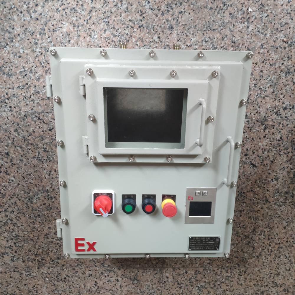 室内现场防爆电源控制箱防爆电源操作箱