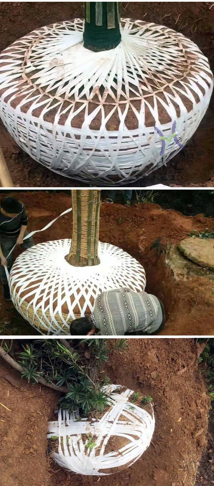 缠绑土球布带结实耐拉细布条纯白色涤纶布条果树拉枝吊秧