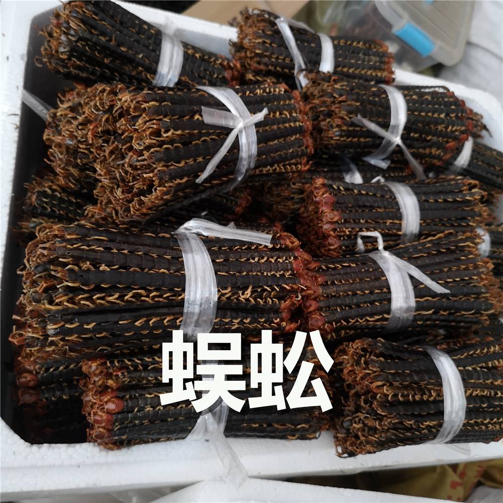 【中药材蜈蚣的药用价值 蜈蚣用法用量 蜈蚣价格多少图片】中药材蜈蚣