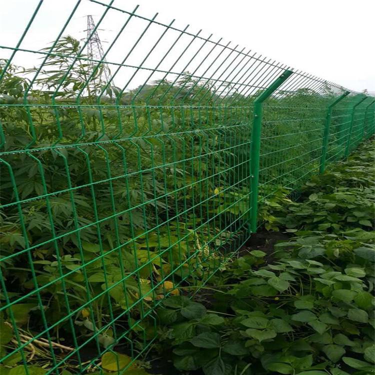厂家护栏网 价格合理 铁丝护栏网可加工定做 万泰