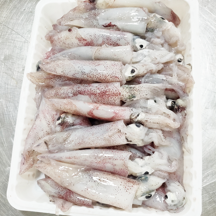 鱿鱼小鱿鱼东山小管笔管鱼58813厘米脆爽鲜嫩冻厂直批