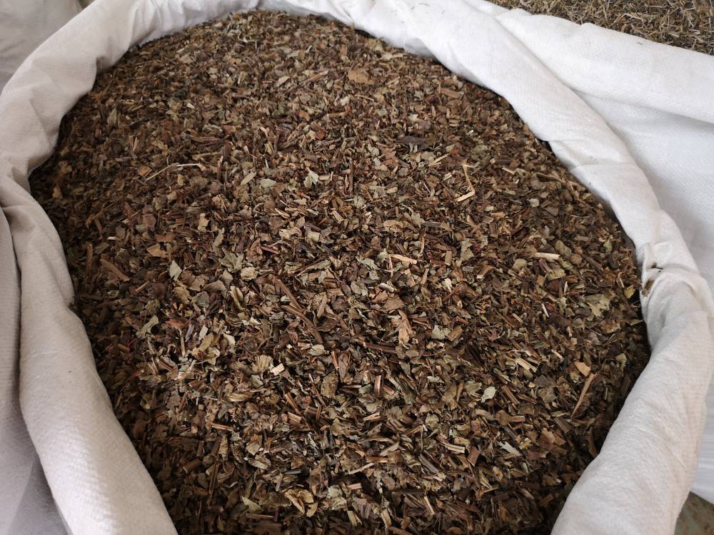 石见穿的功效与作用当年货紫丹花价格