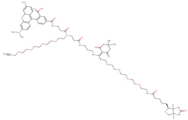 2353409-55-7，Dde TAMRA Biotin Alkyne