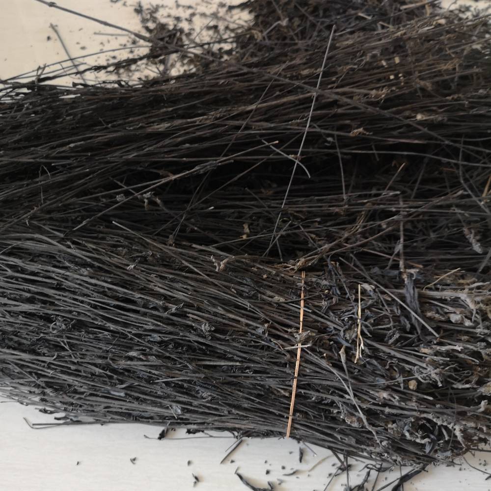 黑马草价格中药黑马草批发