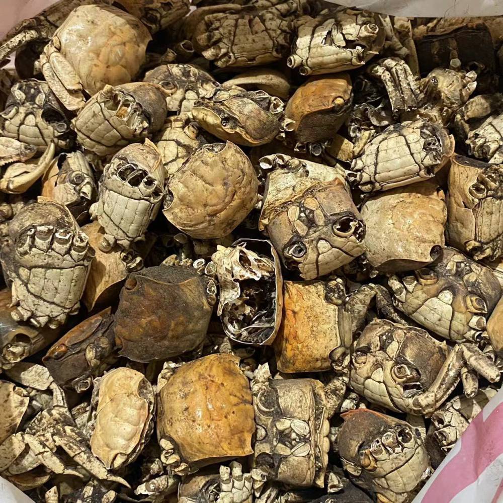 中药材方蟹方蟹的药效和售价