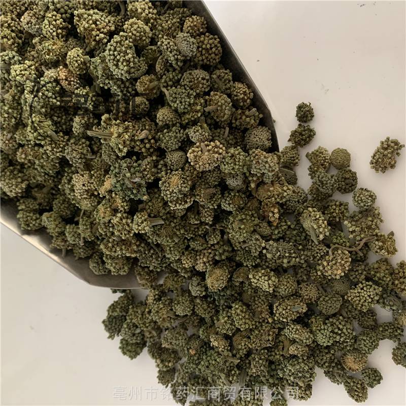 干三七花图片植物图片图片