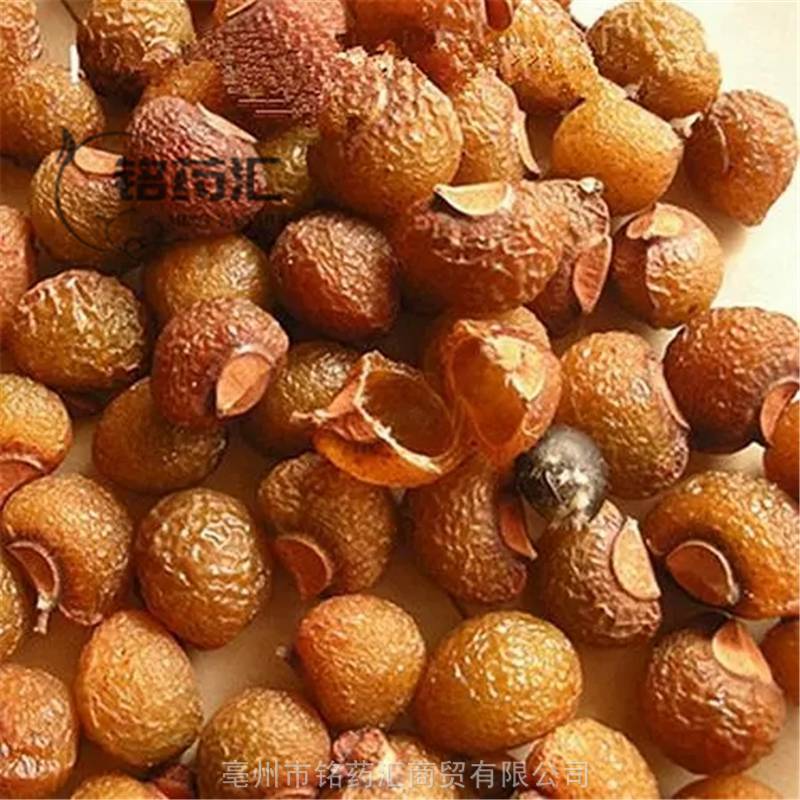 中药材洗手果野生木患子产地大货药食同源散装无杂质上千种中药材