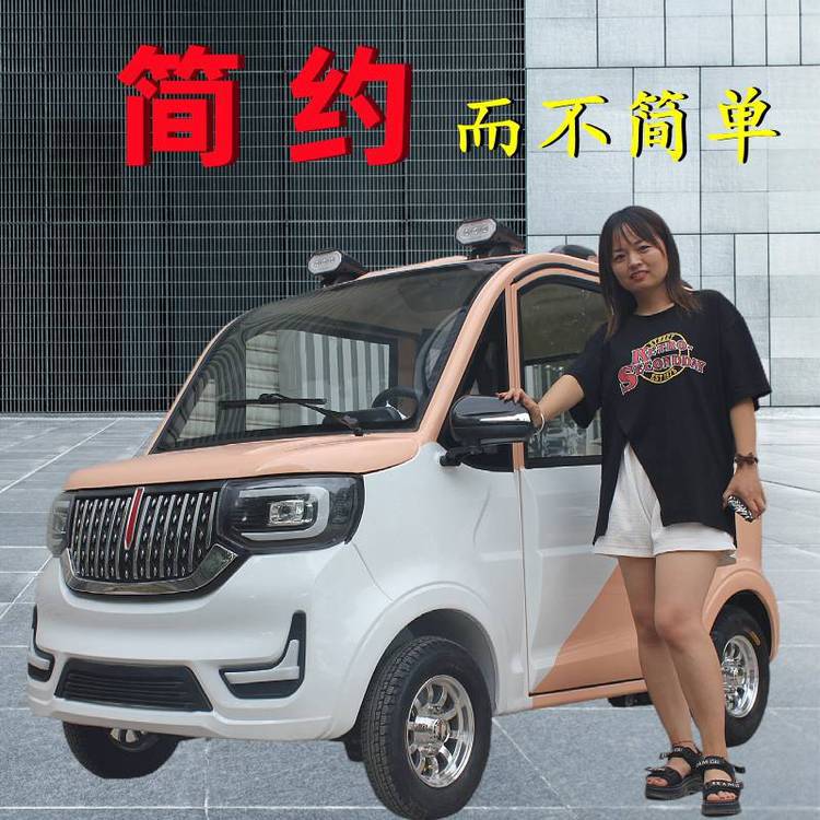 新能源车 汽车代步电瓶车 家用小型女士接孩子低速车