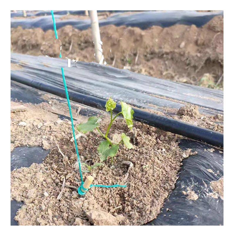 大棚草莓滴灌用内镶圆柱滴灌管安装费用