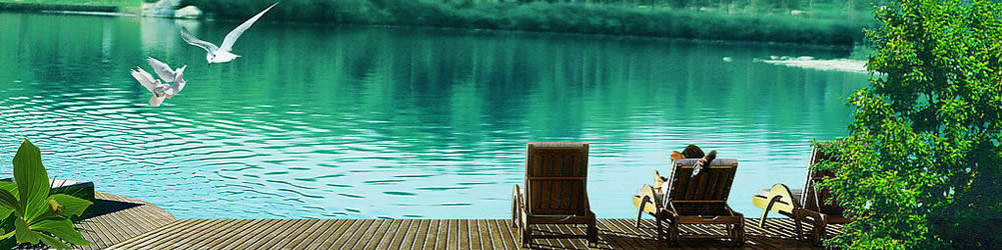 ܰƼ޹˾