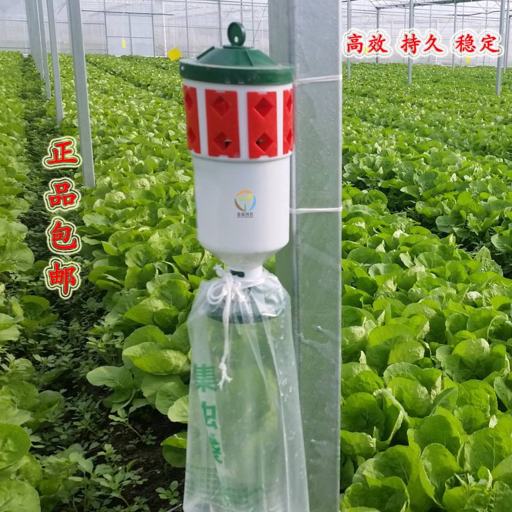 夜蛾诱捕器安装使用