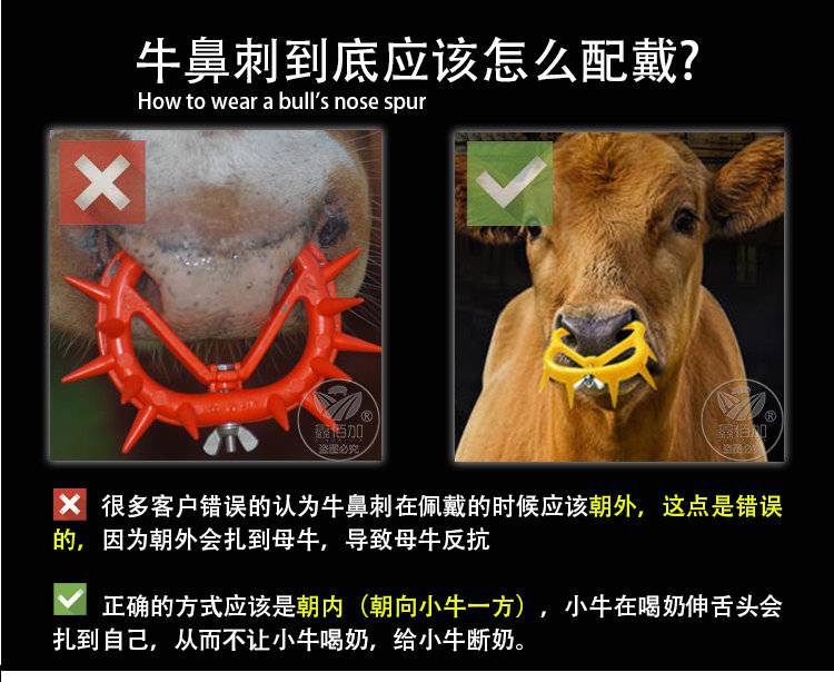 圆形牛用犊牛鼻刺出口型加厚加大弹簧牛鼻夹子加固型牛鼻圈牛鼻环