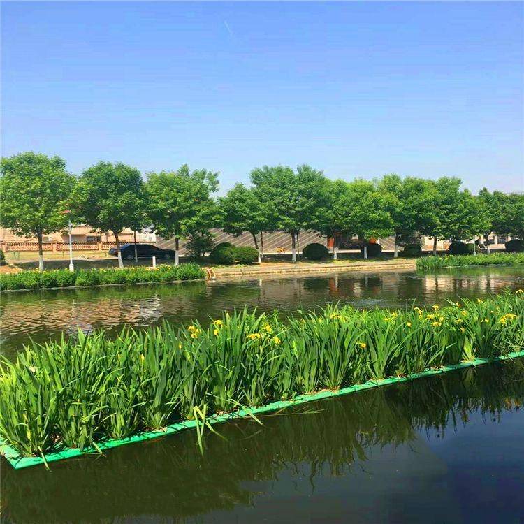 人工浮岛常用水生植物厂家生态修复包安装生态浮岛价位