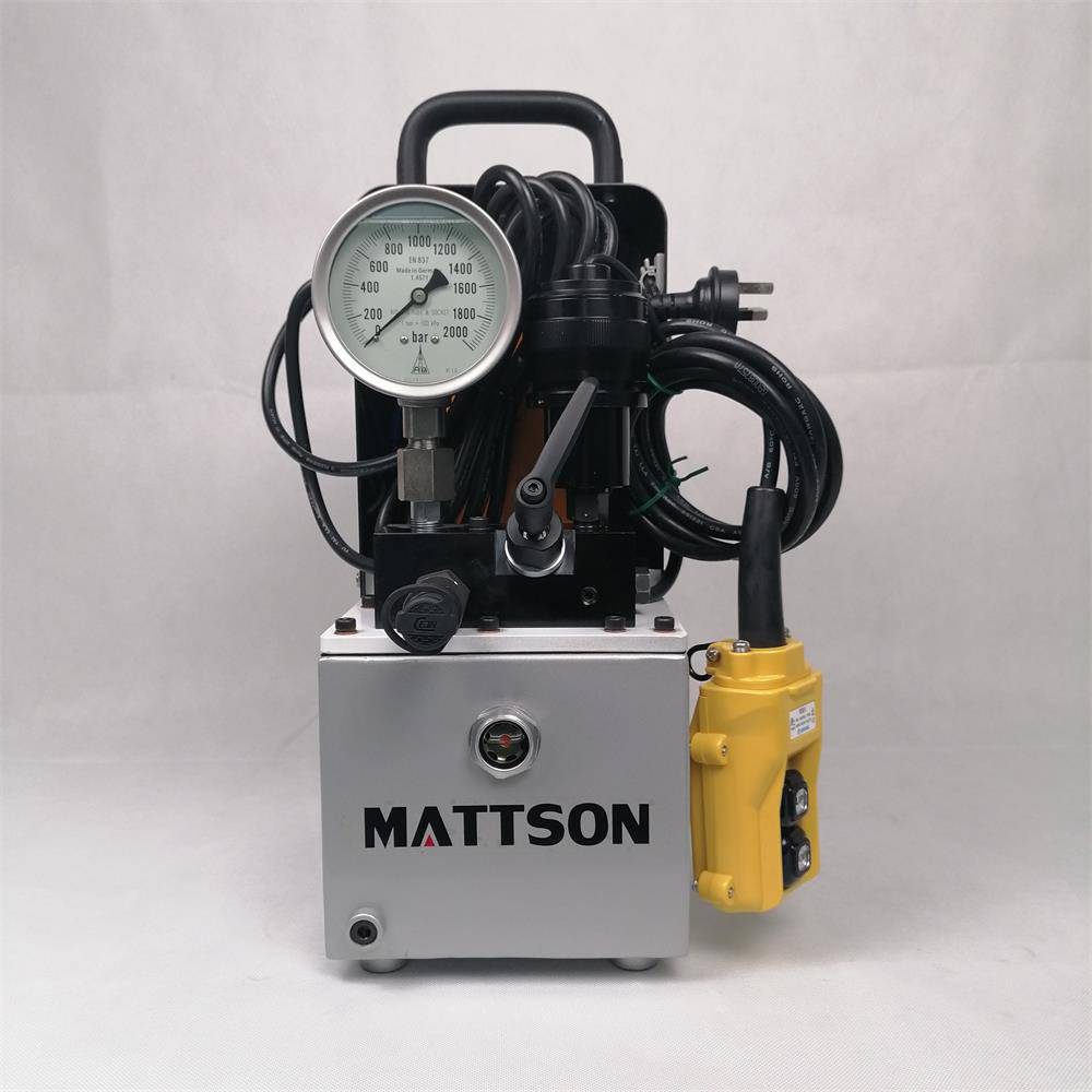 国外进口双作用电动泵生产销售一体MATTSON麦特森