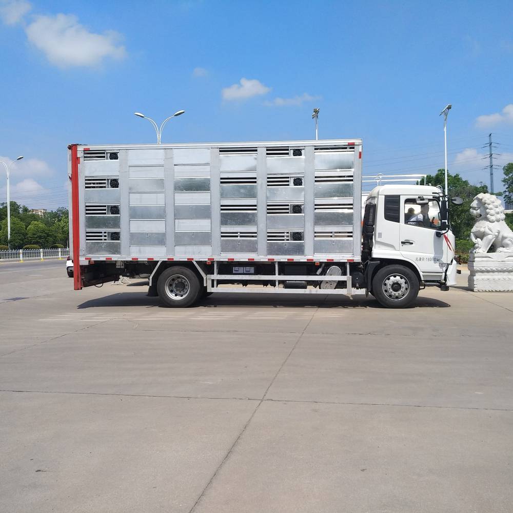 国六中型畜禽猪苗鸡苗运输车大猪小猪转运车运猪车